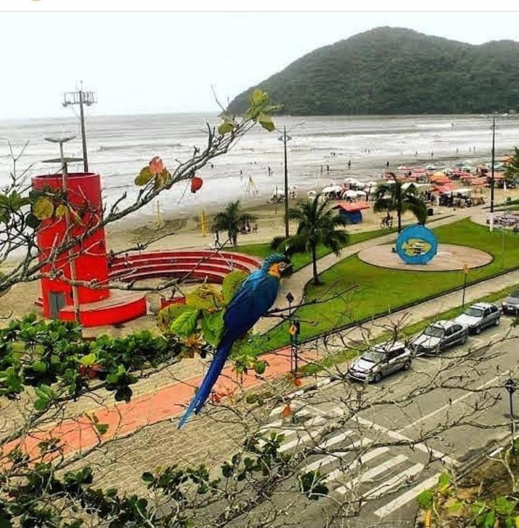 Suites Proximo Ao Rio Jaguareguava Em 베르치오가 외부 사진