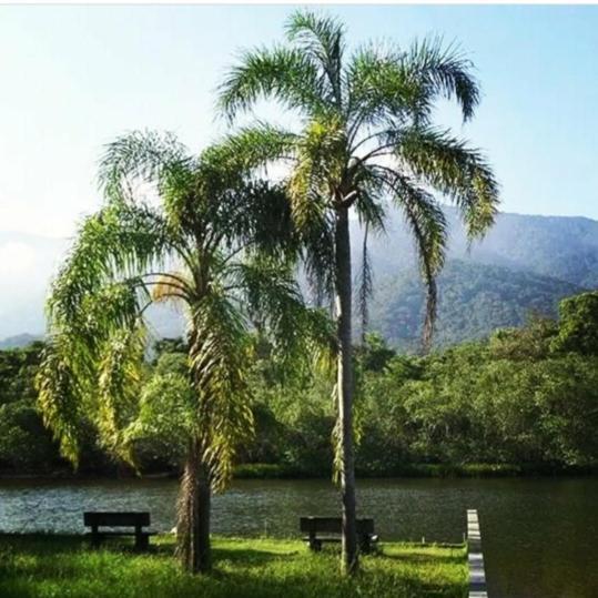Suites Proximo Ao Rio Jaguareguava Em 베르치오가 외부 사진